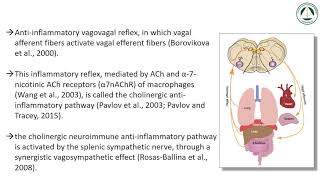 Mechanisms of action for OMT and the role of the vagus nerve   Part 2  pptx