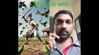 story of parrot and farmer #birds #ai #short