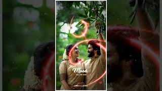 Sun Meri Shehzadi Main Hun Tera Shehzada | Romantic Crush Love Story Status | Love Story Status 🥀