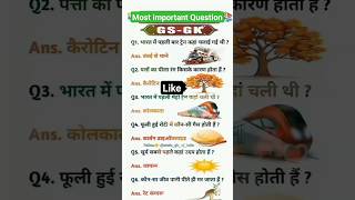 GK most important Question || Gk everyday Questions || Gk history #sscchslgk #lucent