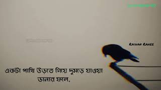 Ekta Pakhi Urte Giya- একটা পাখি  উড়তে গিয়ে | Raihan Rahee | Bangla New Song 2021