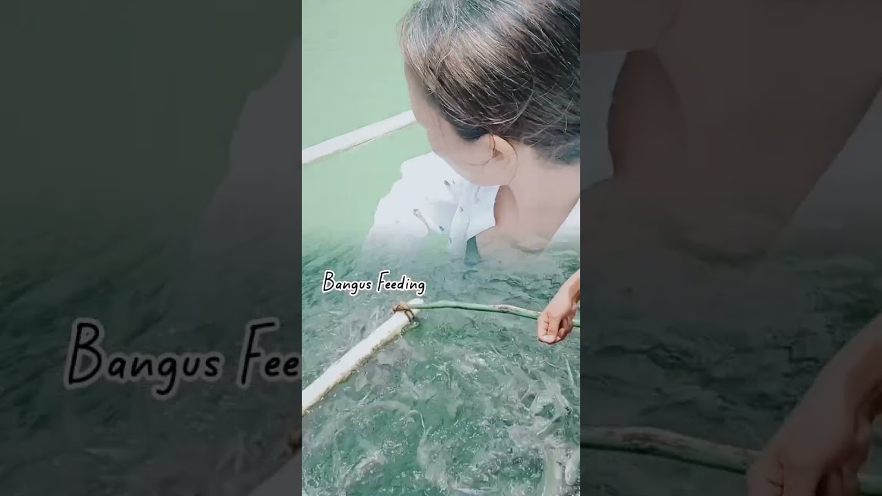 サムネ
