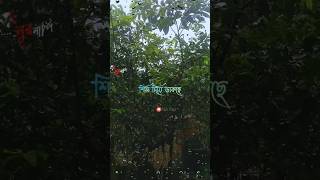 #newsong #romantic #bengaliromanticsong