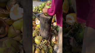 Coconut water ice #coconut #village #nature #shorts
