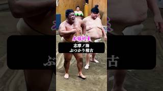 志摩ノ海 ぶつかり稽古 2024.8.19【相撲/Sumo】Shimanoumi