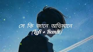Shey  Ki Jane | সে কি জানে | Lo-Fi + Remix | Piran Khan ft | Tanveer Evan | @RMR295 | #viralvideo