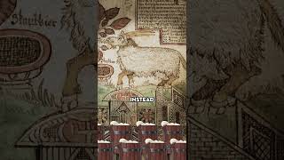 ヴァルハラの永遠のハッピーアワー 🍻