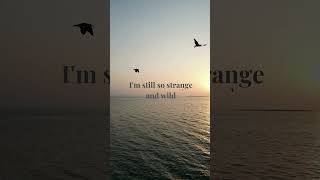 Chemtrails over the Country Club - Lana Del Rey (lyrics) #music #aesthetic