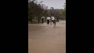 【衝撃】大阪高校駅伝レース途中に異例の中止！ 長居公園の走路が雨で冠水し競技ができない状況！osaka japan travel rain #shorts