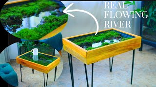 DIY Terrarium Coffee Table with a Real Flowing River