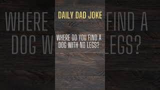 where do you find a dog with no legs? #funny #dadjokes #hilarious #dadhumor