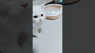 She is playing 🥰