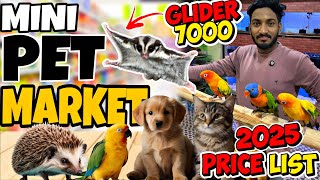 チェンナイで最も人気のある😍ペットパラダイス🐾の中へ | 鳥、子犬、子猫ツアー2025🔥