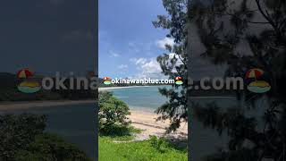 【沖縄🏖️】good location🏝️ #okinawatrip