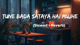 Tu Bhi Sataya Jayega | Slowed Reverb | Vishal Mishra | Aly Goni | Jasmin Bhasin