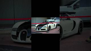 Bros mind was blown | 1 of 1 Bugatti Veyron blanc noir #bugattiveyron #1of1bugatti #bugattiblancnoir