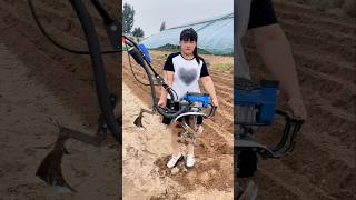 तहलका मचा देने वाला पावर टिलर। #shorts #powerweeder #powertiller #shortvideo
