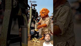puppy ki mehnat ne usko accha banaya 😭 #puppy #shortfeed #puppyvideos #animahal #animal