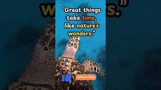 “The Secret to Success” #AnimalMotivation #TurtleWisdom #StayPatient #Motivation #lifetipsandtricks