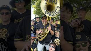 XS VS XL Brass Instruments(ish) #aylex #brass #brassband #trumpet #trombone #saxophone #sousaphone