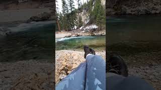 Something a little different.#outdoorstyle #naturestrip #wildness #ferallyfe #untamed  #dogslife
