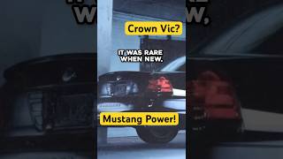 Mustang Muscle in a Crown Vic? The Forgotten Mercury Marauder #v8 #sleepercars #unfiltereddrifter