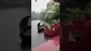 #rain #rainsounds #water #sound #soundofrain #natural #beauty