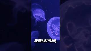 immortal jellyfish #trendingnow #Immortaljellyfish#science #hiddentruths #sciencefacts
