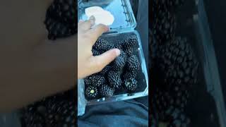 I FOUND THE PERFECT BATCH