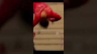 Katelyn Ohashi Floor #Gymnastic  #shorts