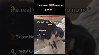 Top 5 Funny Cat Moments 😂 | Cats 2025 Part 13