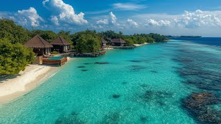 Morning Vibes 🌴 Tropical Vibes 2025 Playlist for You