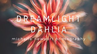 Dreamlight Dahlia | Flower Photography Edit | Photoshop Edit | Luminar Neo Edit