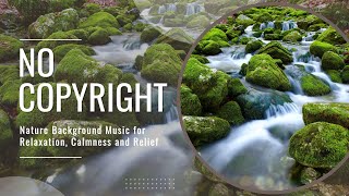 No Copyright Nature Background Music for Relaxation, Calmness and Relief
