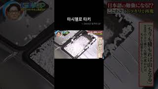 [앤팀] 실험카메라 타키 #앤팀 #실험카메라 #taki #andteam
