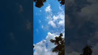 Rakhoon chupake ma sab se woh Laila lyrics Whatsapp status|Remix Song|#shorts #nature