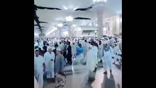 Dua#shortvideo #islamicstatus #Islamikgojol