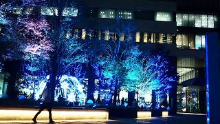 名古屋ルーセントタワーのイルミネーションを撮影した（OM-D E-M10 Mark IV 4K撮影）