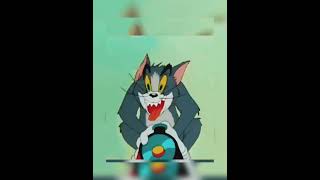 TOM & JERRY 🐈😻🥰 #cartoon #tomandjerry #tomandjerrybangla #tomandjerryshorts #tomandjerryscream #cat