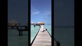 www.instagram.com/travelclicksbyapurva?igsh=MXYzMXllY2FyamI%3D&utm_source=qr #haryanvisong #newsong
