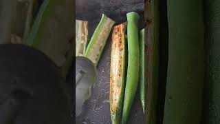 揚げオクラ