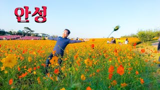 Aanseong south korea (vlog ep-7 )theba