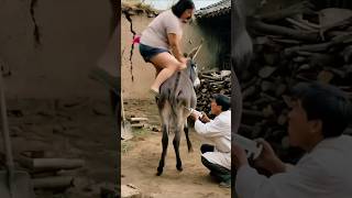 donkey kick the doctor #funny #viralreels #trending #comedy #ai