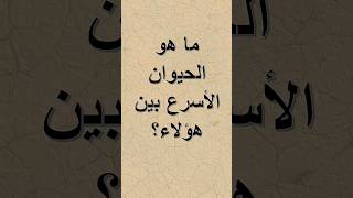 #لغز #لغز_صعب #الألغاز #اسئلة_دينية_مع_الحل #سوال_و_جواب #ألغاز_ذكاء #ألغاز #ألغاز_رياضية