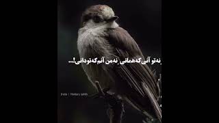 جملات که ارزش خواندن را دارد ببین و بیاموز🫡#learning #smart