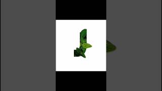 J Letter Editing With Photoshop #creative #adobe #tutorial