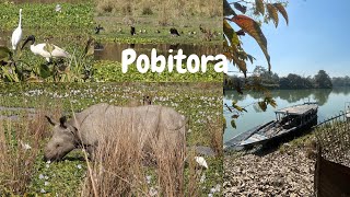 Safari @ Pobitora Wildlife Sanctuary | Assam