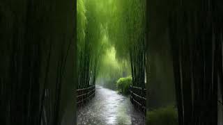 Sound relex #rainoundforsleep #shortvideo #rain #relxing #nature #shortvideo