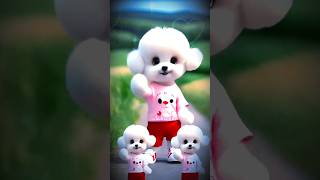 cute cat dance// ❤️cute kitten # cat # princess cat # kitten # fyp# cat dance