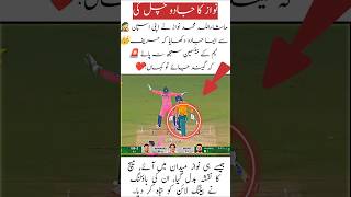 Pakistan cricket fans #trending cricket #cricketfans #cricketlover #love